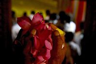 بالصور..أبرز المشاهد في  مهرجان فيساك فى سريلانكا وكمبوديا احتفالا بذكرى ميلاد بوذا