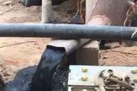 تدفق النفط من بئر مزارع سعودي