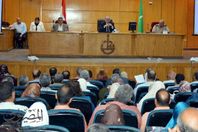 المجلس التنفيذي