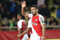 راداميل فالكاو