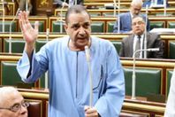 النائب أحمد هريدى