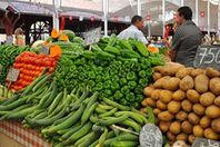 الخضروات في المغرب