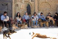 افطار  جماعي