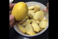 بذرة المانجو