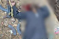 زعيم العصابة