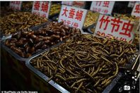 بالصور .. سوق الحشرات المقلية يفتح أبوابه للزبائن بالصين