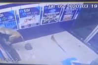 ليست نكتة.. قرد يسطو علي بنك بالقرب من القصر الرئاسي