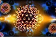 بدون حسد.. المكان الوحيد في العالم  لم يصل إليه كورونا