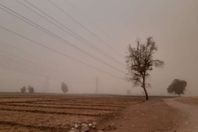 سوهاج اليوم