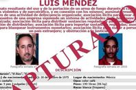 الانف الكبير