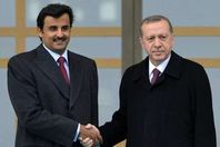 أردوغان و تميم