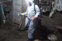 تعقيم القرية