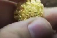 ليست نكتة.. مجوهرات كورونا بدولة عربية