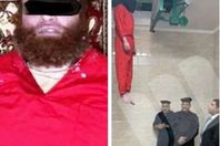 لحظة اعدام هشام عشماوي