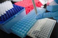 شركة "سينوفاك" ولقاح كورونا