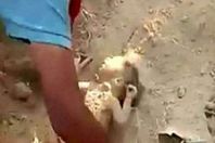 مقطع من الفيديو