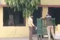 اسد يقتحم مدرسة