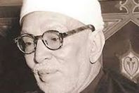 محمد الخضر حسين
