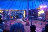 "لبؤة" تهاجم المدرب