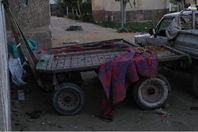 194117937_1272979803104225_2703872025179462096_n