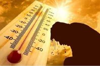 19603831431615830077