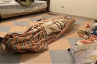 2023_3_9_21_43_53_648