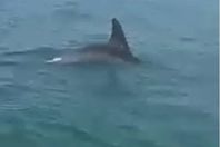 28602f71-45b4-45bb-8cc7-af1def477d6b