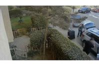 Screenshot 2025-05-2_752_093712