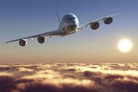 هبوط طائرة اضطراريًا لإنقاذ "كلب"