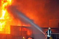 نفوق 8 آلاف دجاجة بشركة الوطنية للدواجن