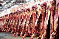 تثبيت سعر اللحوم بـ60 جنيهًا في الإسماعيلية