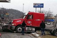 كلب "يقود" شاحنة بأمريكا