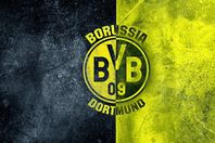 بروسيا دورتموند يساند الفراعنة قبل مواجهة مالي