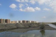 التعديات علي بحيرة المنزلة