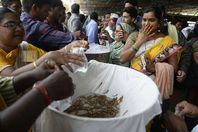 علاج الربو بالسمك الحي