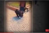 صورة من الفيديو