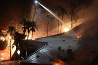 حريق الغابات فى البرتغال