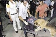 انتشار امنى بمحطة السكك الحديد