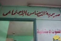 مديرية التضامن الاجتماعي بسوهاج