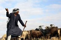 راعي أغنام يذبح عامل جمع قمامة بالخانكة