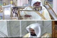 علي الحذيفي ونجله أحمد