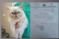 تصريح لقطة للسفر إلى إسرائيل