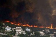 مستوطنون يحرقون حقولا زراعية