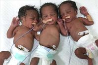 تؤأم السيدة السودانية