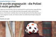 صورة الخبر الأصلي