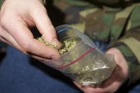 الماريجوانا