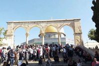 صلاة الجمعة فى القدس 3/6/2017