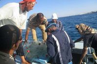 أثناء عملية الضبط