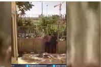 هجوم على البرلمان الايرانى