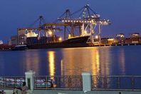 افتتاح أول ميناء مخصص لتصدير الثروة الحيوانية